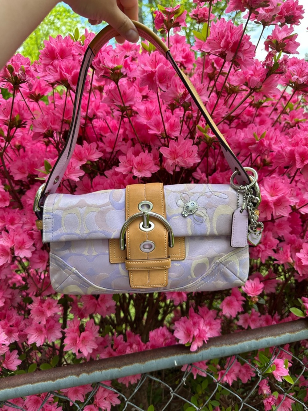 Rare butterfly coach bag
